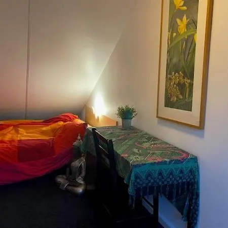 Vivaldi * 's-Hertogenbosch (Den Bosch)